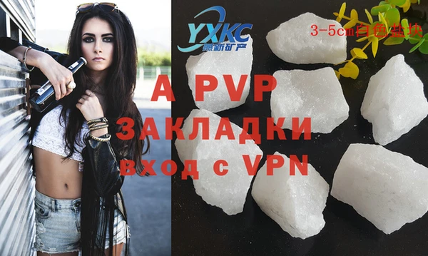 ECSTASY Богородицк