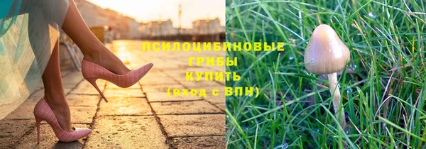 ECSTASY Богородицк