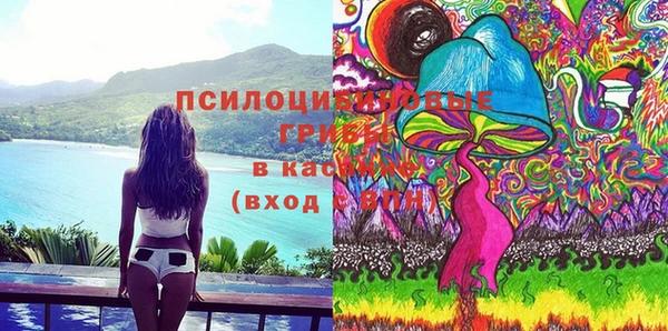 ECSTASY Богородицк