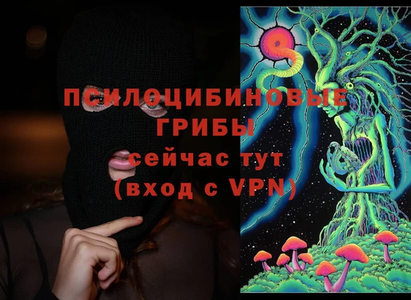 ECSTASY Богородицк