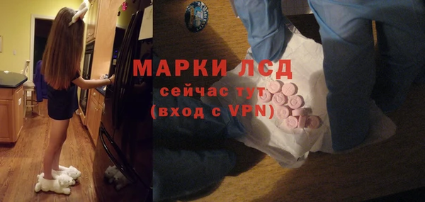 ECSTASY Богородицк