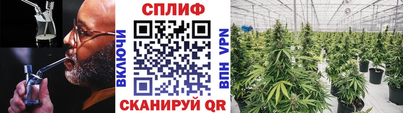 Купить где  Шахунья  Конопля THC 21% 